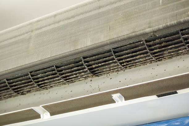 Best Professional Duct Cleaning Services  in Emory, VA